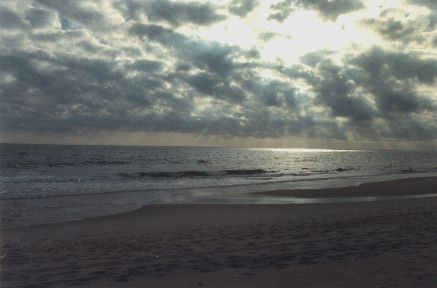 OCEAN1.jpg (19767 bytes)